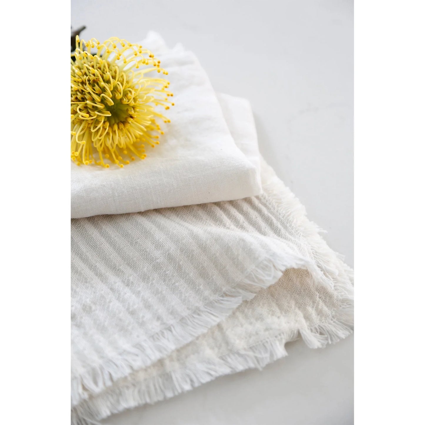 Healdsburg Napkins Set of 4