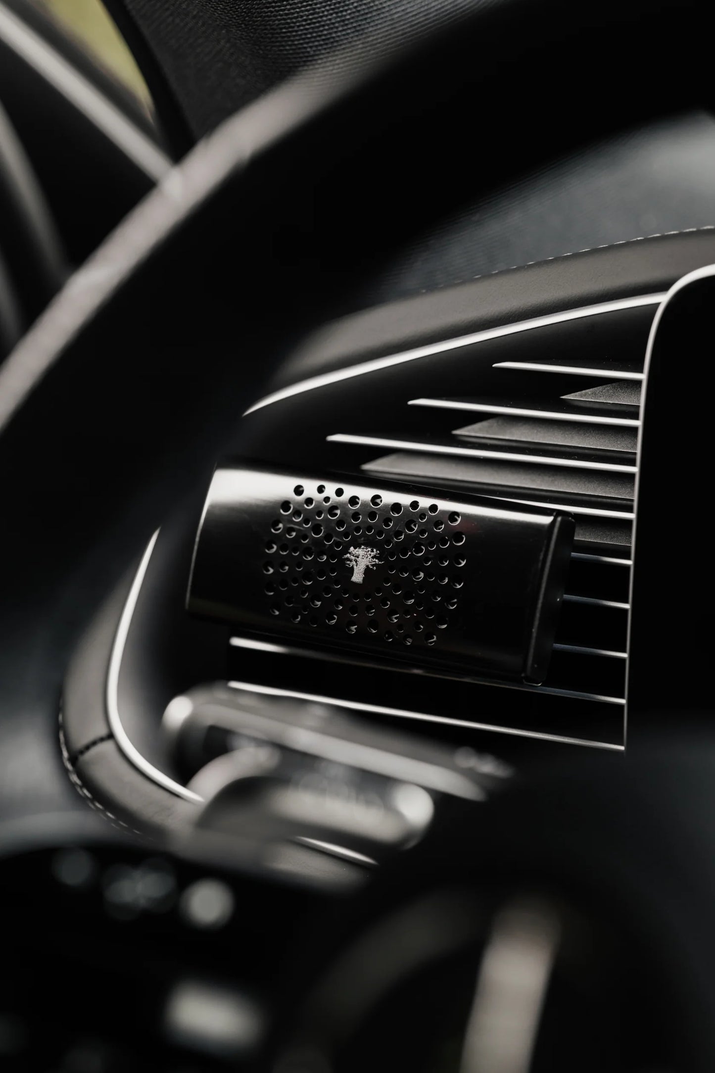Car Diffuser Black Pearls