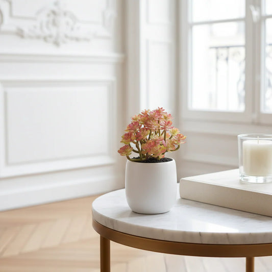 Mini Houseleek Plant in Ceramic