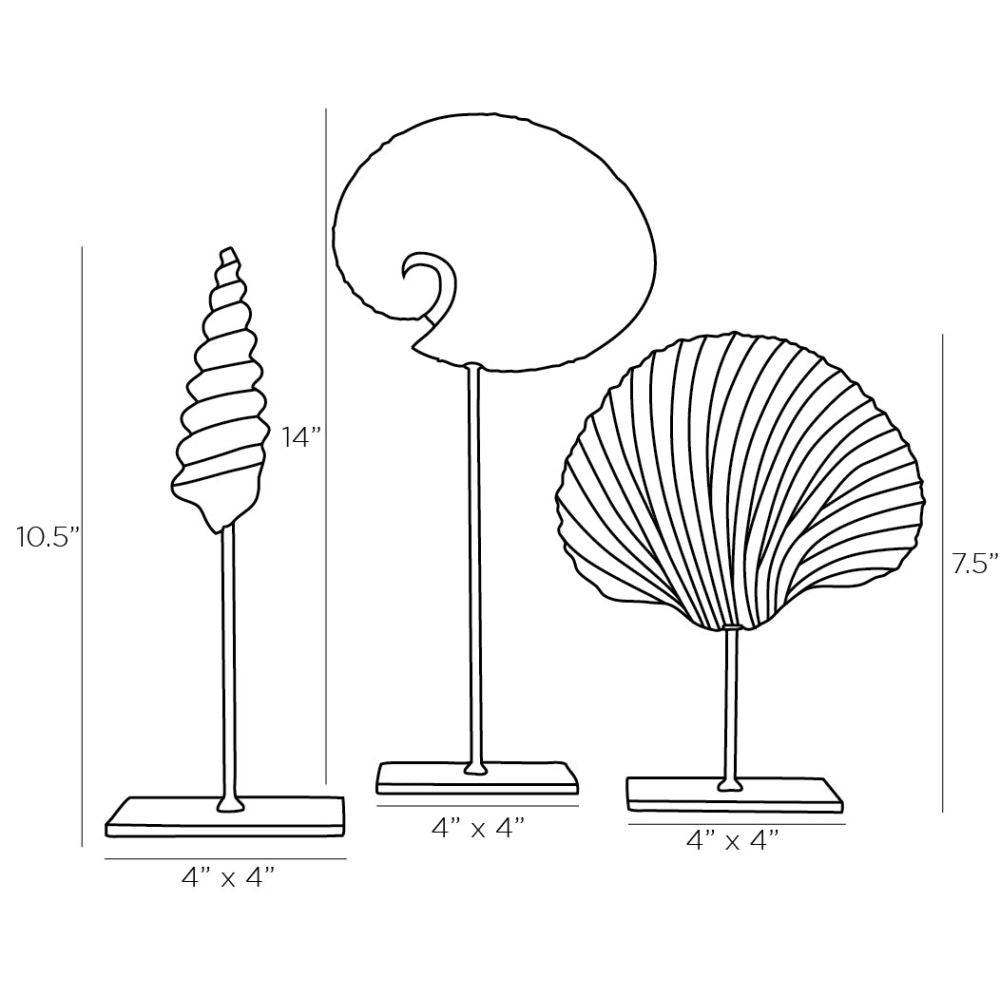 Shell Sculptures Set of 3