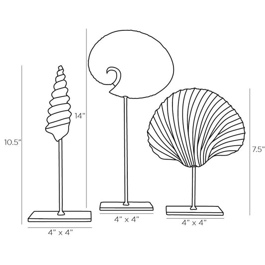 Shell Sculptures Set of 3