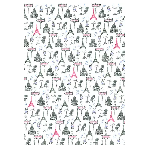 Ca C'est Paris Towel S/2