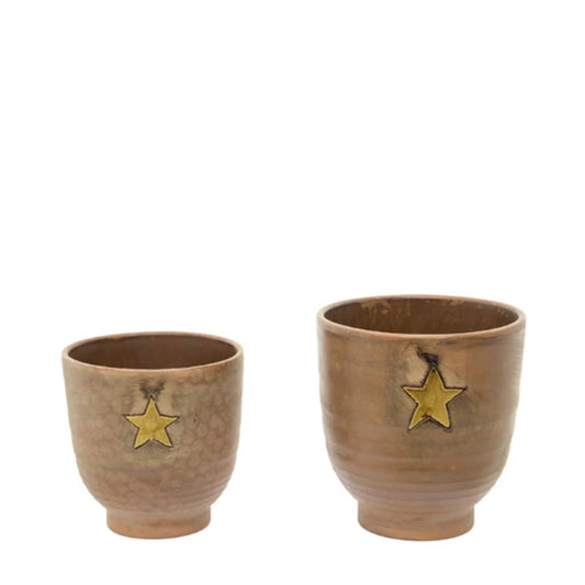 Star Flower Pot