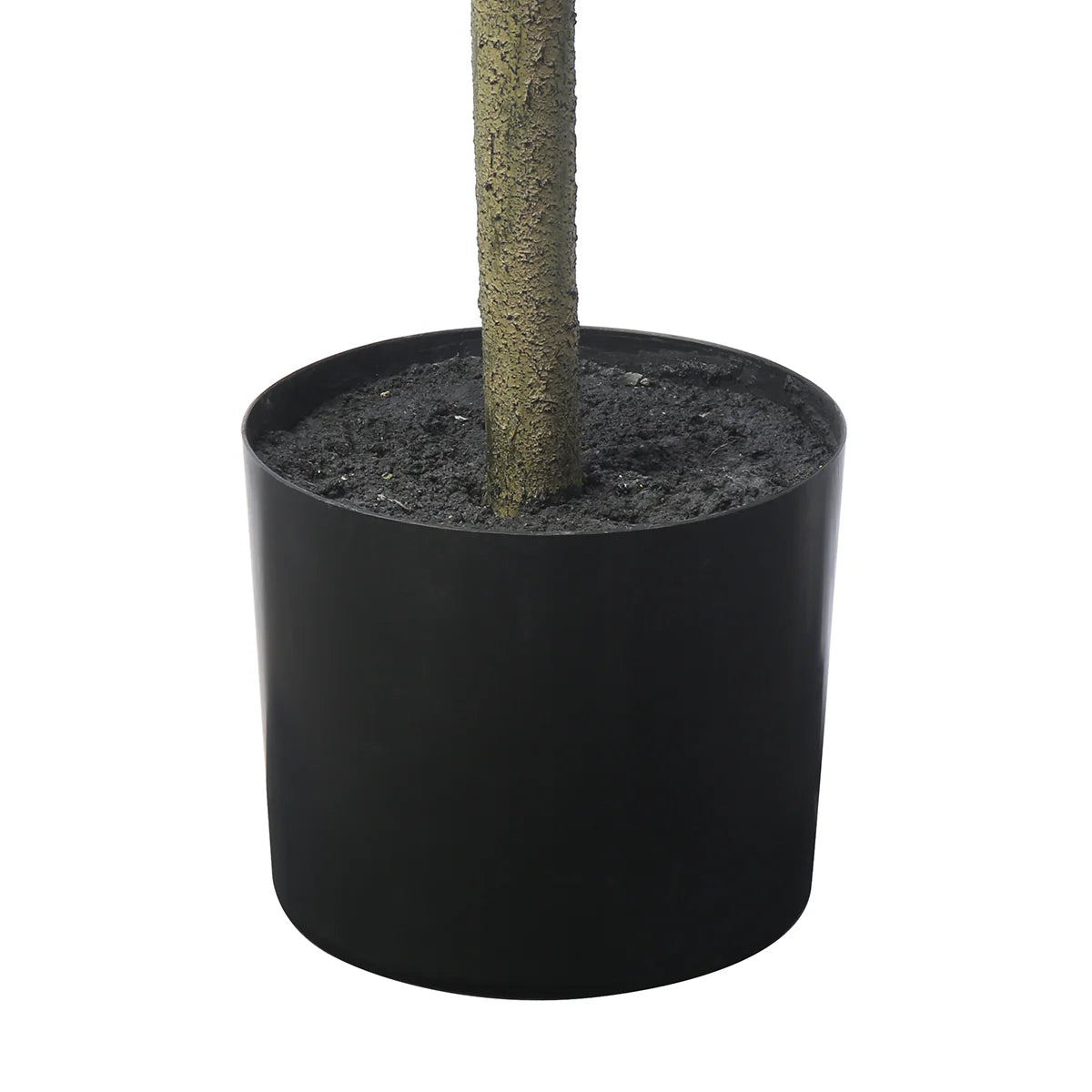 Fiddle Leaf Fig Tree In Pot