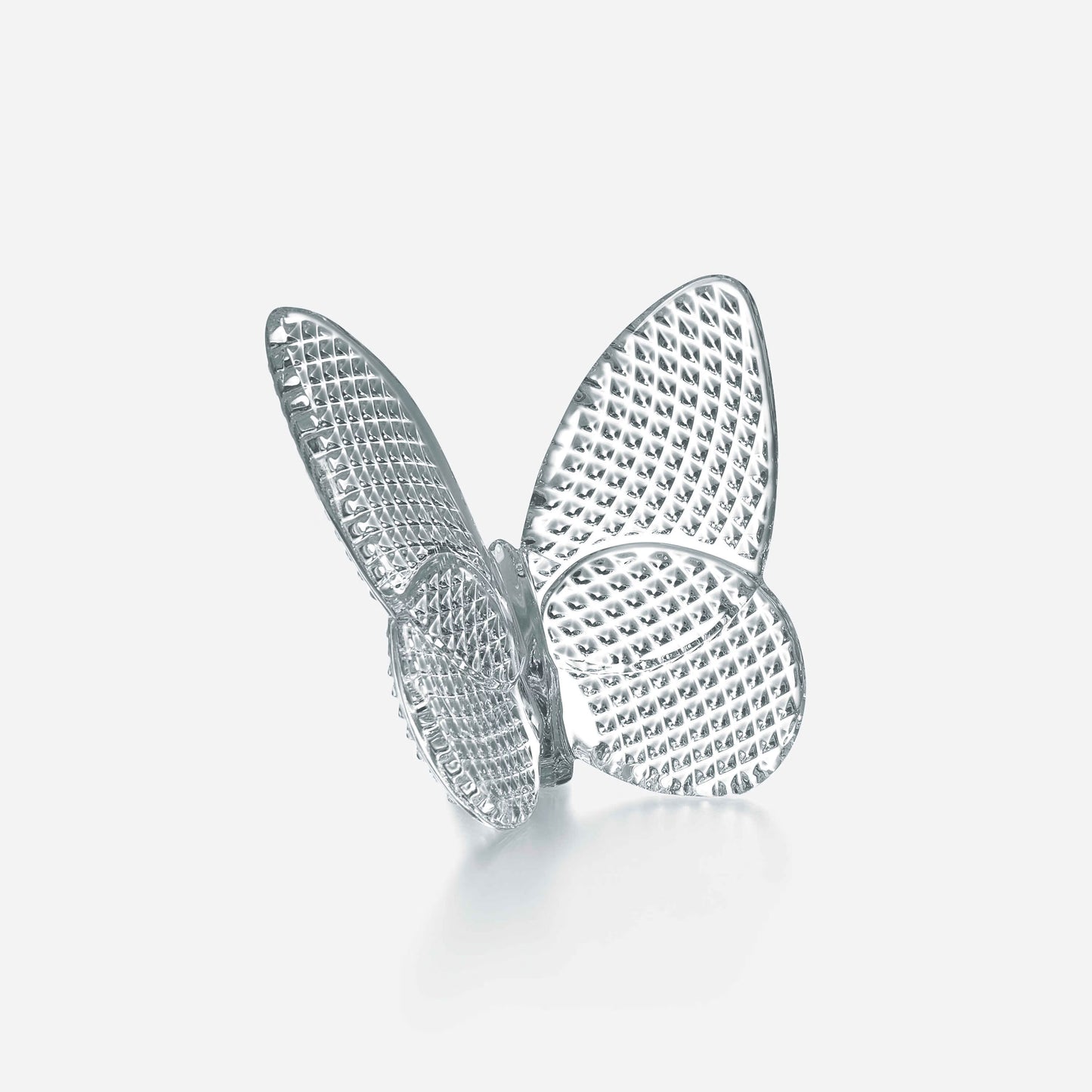 Lucky Butterfly