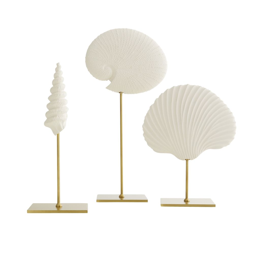 Shell Sculptures Set of 3
