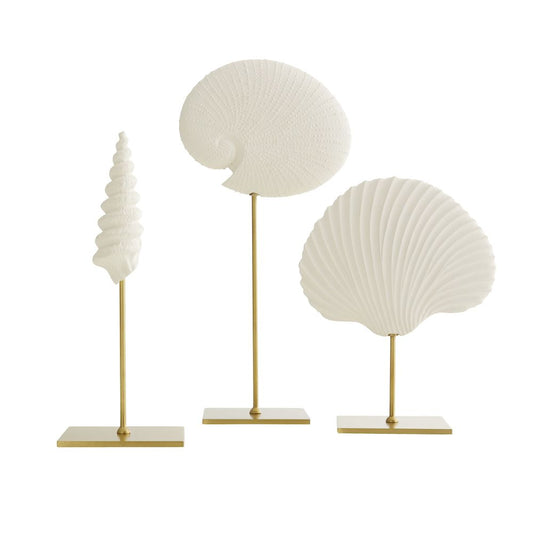 Shell Sculptures Set of 3