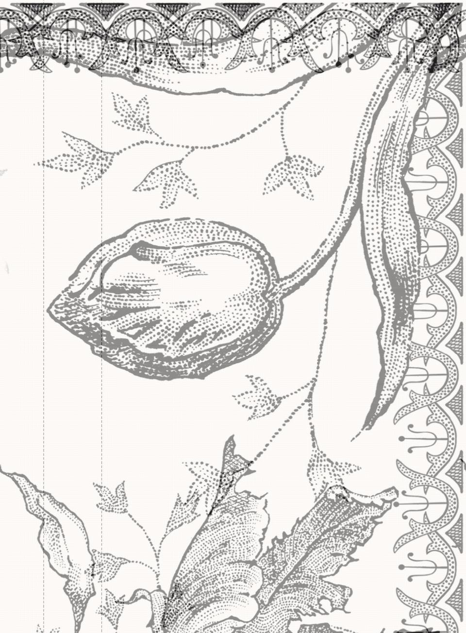Tulipes Notebook