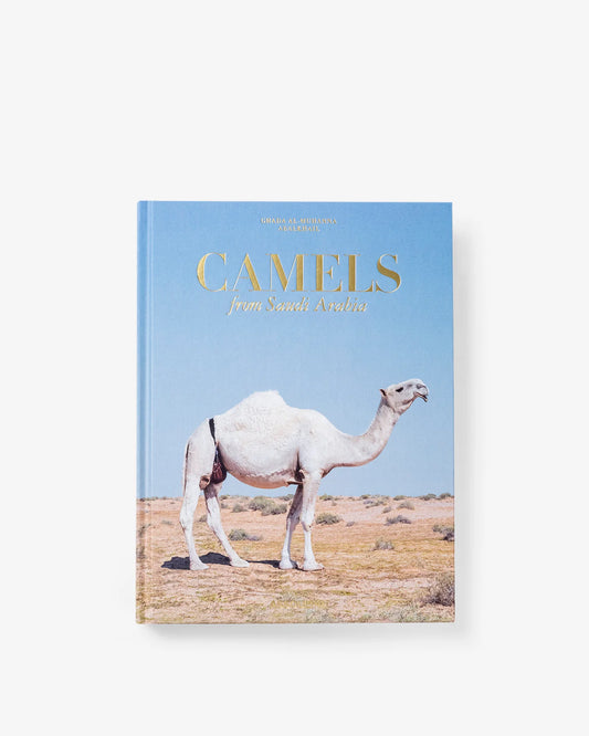 Camels From Saudi Arabia