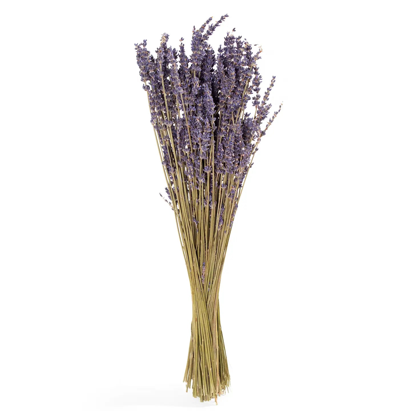 Lavender Bundle