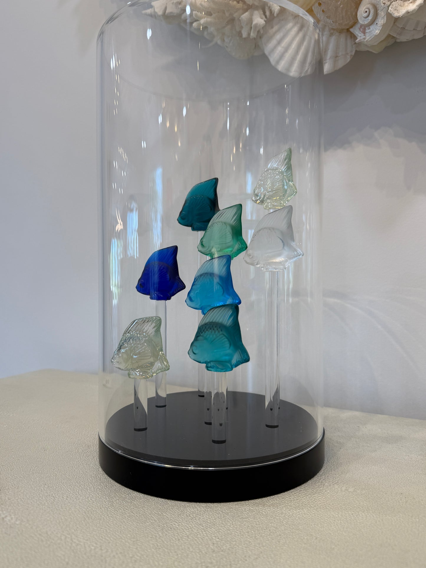 Fish Tank (8 Fish)