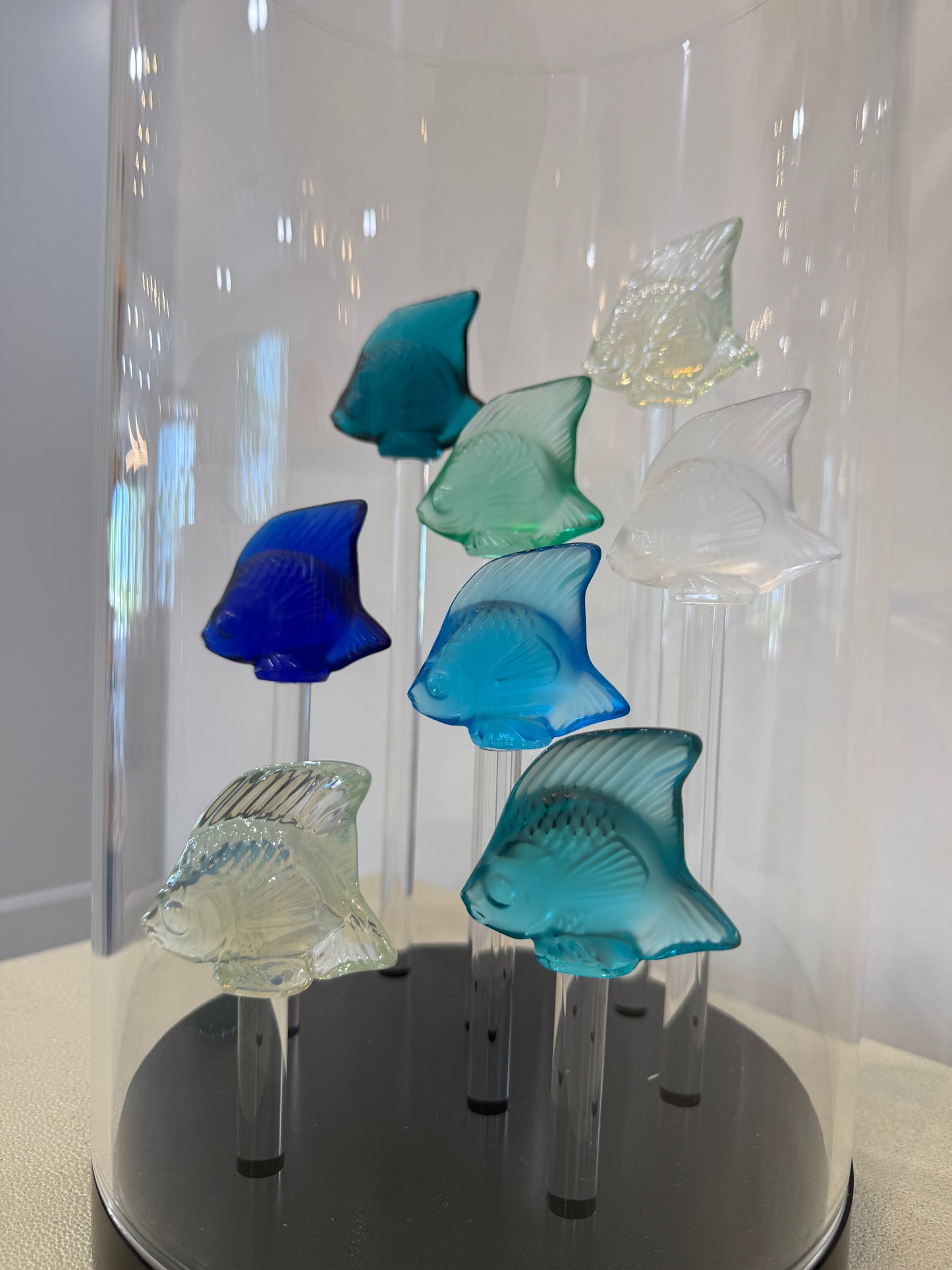 Fish Tank (8 Fish)