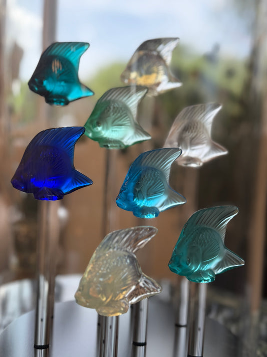 Fish Tank (8 Fish)