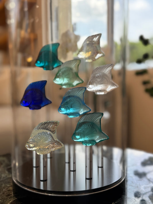 Fish Tank (8 Fish)