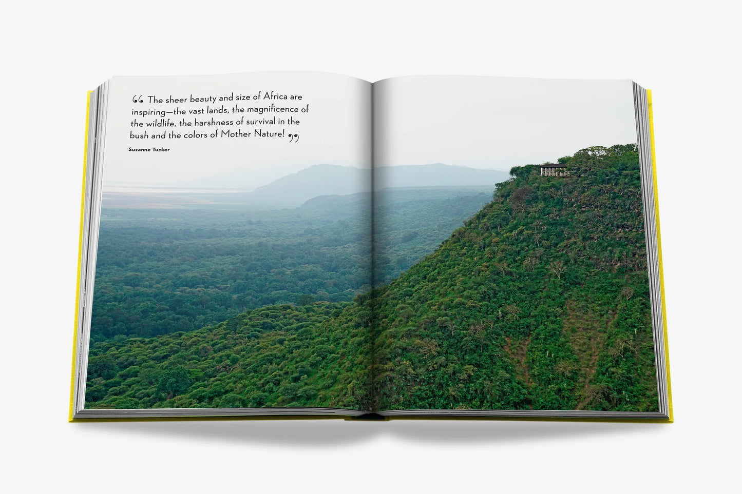 Travel by Design