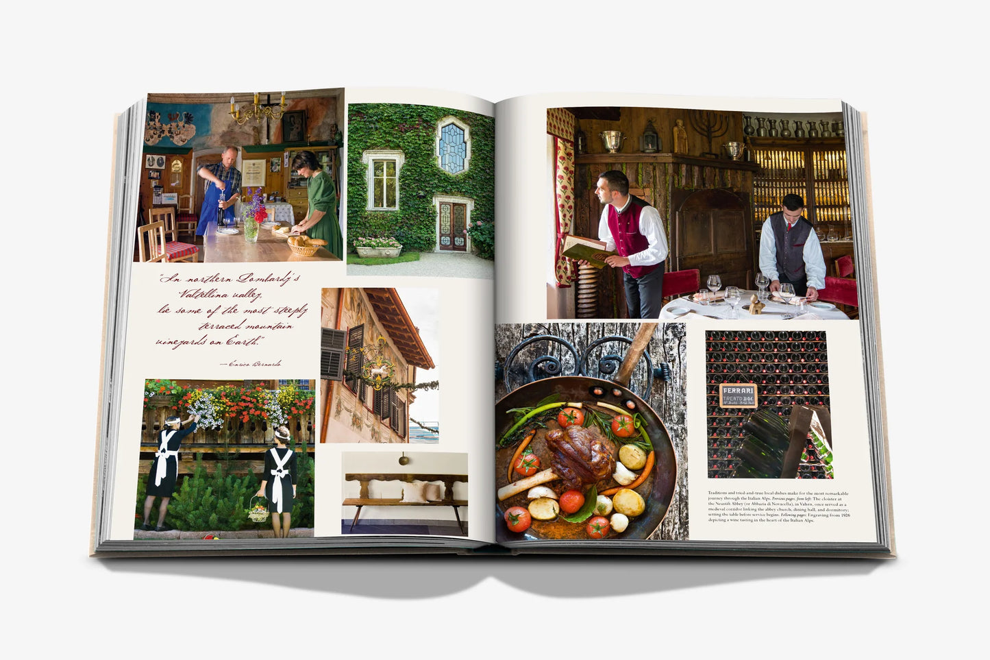 Wine and Travel Italy